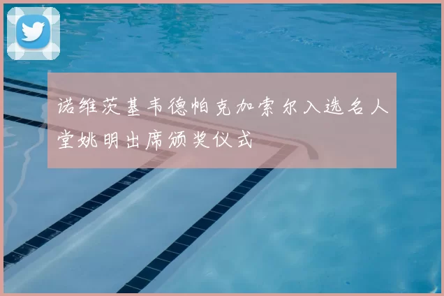 诺维茨基韦德帕克加索尔入选名人堂姚明出席颁奖仪式