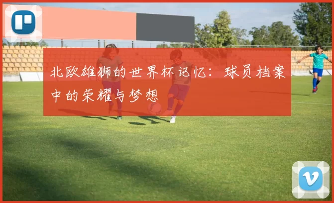 北欧雄狮的世界杯记忆:球员档案中的荣耀与梦想