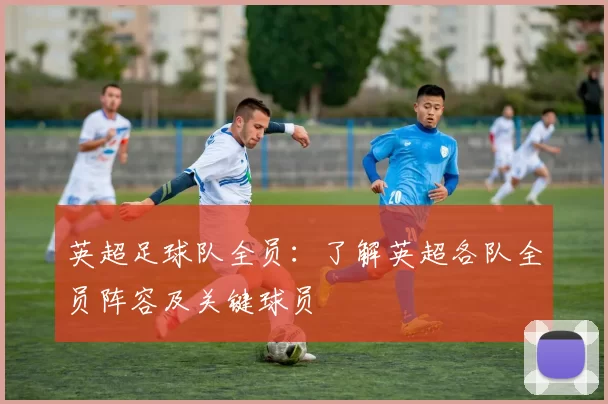 英超足球队全员：了解英超各队全员阵容及关键球员