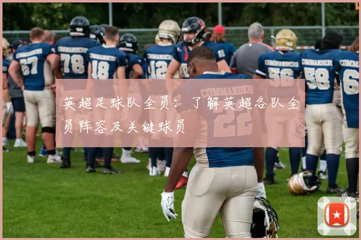 英超足球队全员：了解英超各队全员阵容及关键球员