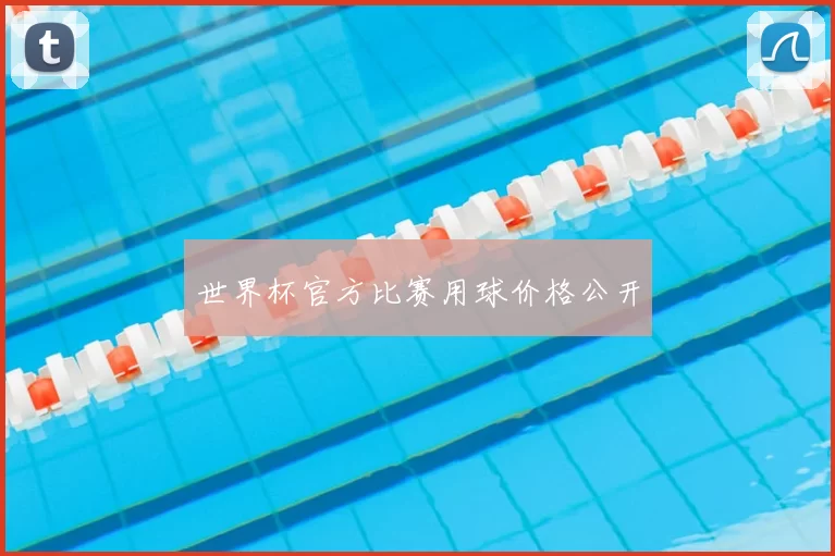 世界杯官方比赛用球价格公开