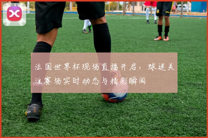法国世界杯现场直播开启,球迷关注赛场实时动态与精彩瞬间