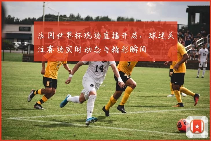 法国世界杯现场直播开启,球迷关注赛场实时动态与精彩瞬间