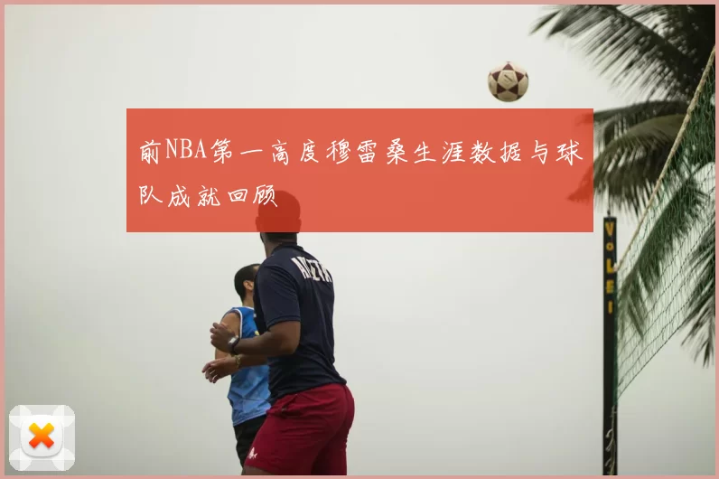 前NBA第一高度穆雷桑生涯数据与球队成就回顾