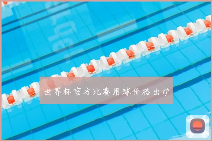 世界杯官方比赛用球价格出炉