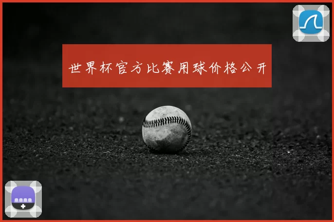 世界杯官方比赛用球价格公开