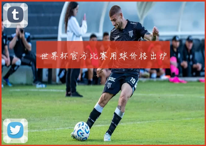 世界杯官方比赛用球价格出炉