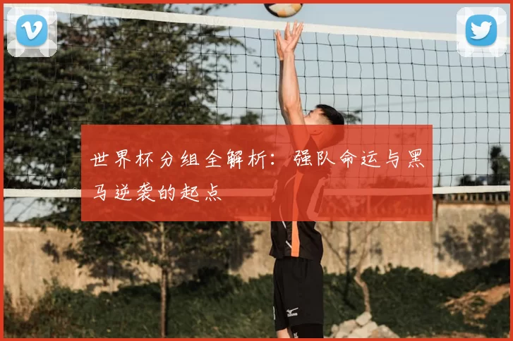 世界杯分组全解析：强队命运与黑马逆袭的起点