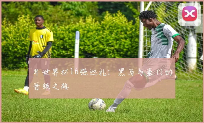 年世界杯16强巡礼:黑马与豪门的晋级之路