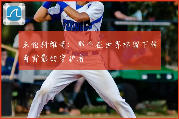 米伦科维奇:那个在世界杯留下传奇背影的守护者