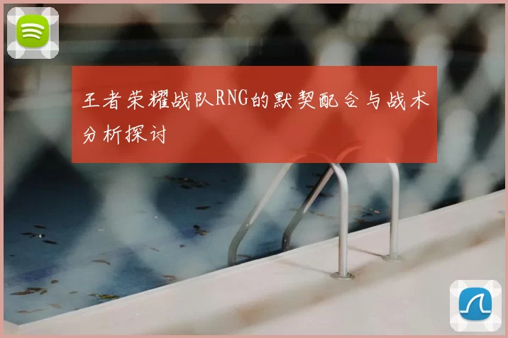 王者荣耀战队RNG的默契配合与战术分析探讨