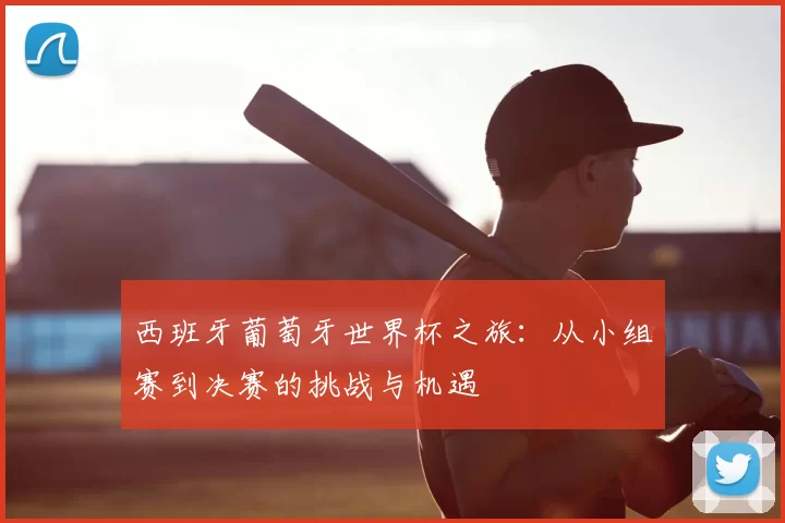 西班牙葡萄牙世界杯之旅：从小组赛到决赛的挑战与机遇