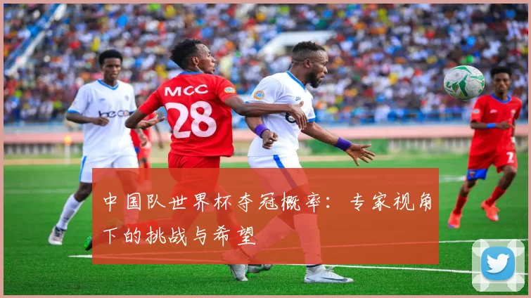 中国队世界杯夺冠概率:专家视角下的挑战与希望