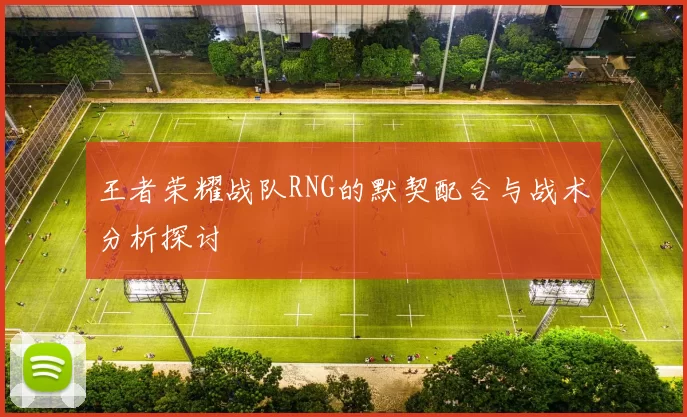 王者荣耀战队RNG的默契配合与战术分析探讨